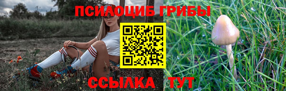 Псилоцибиновые грибы прущие грибы Аргун