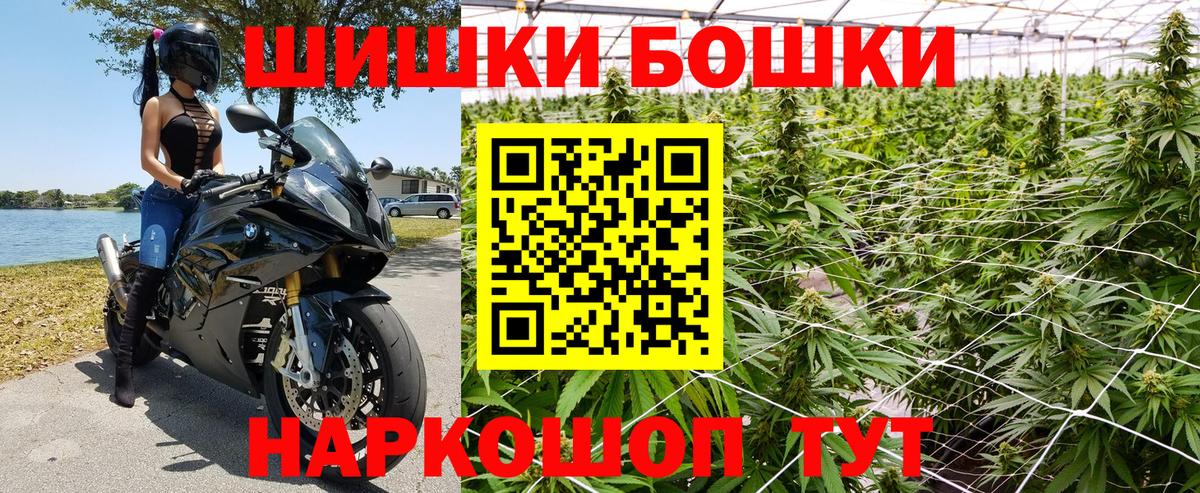 Аргун  Бошки Шишки план  Конопля планчик  Бошки марихуана индика  Бошки марихуана семена  Вход с VPN 